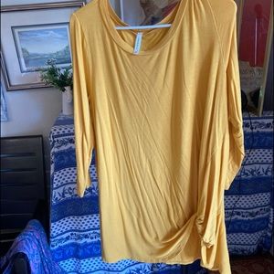 Emerald tunic top sz 1X